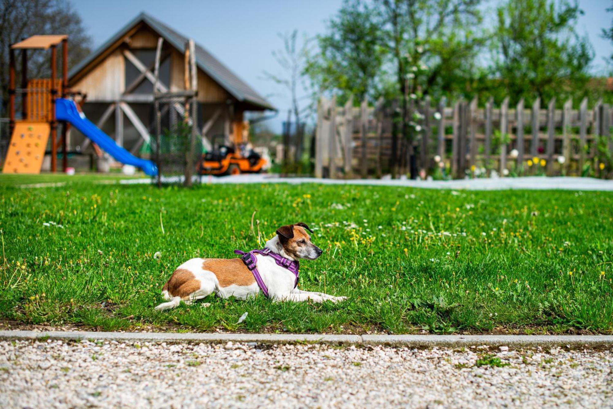 Vila Turisticna Kmetija Grabnar Bled Exteriér fotografie