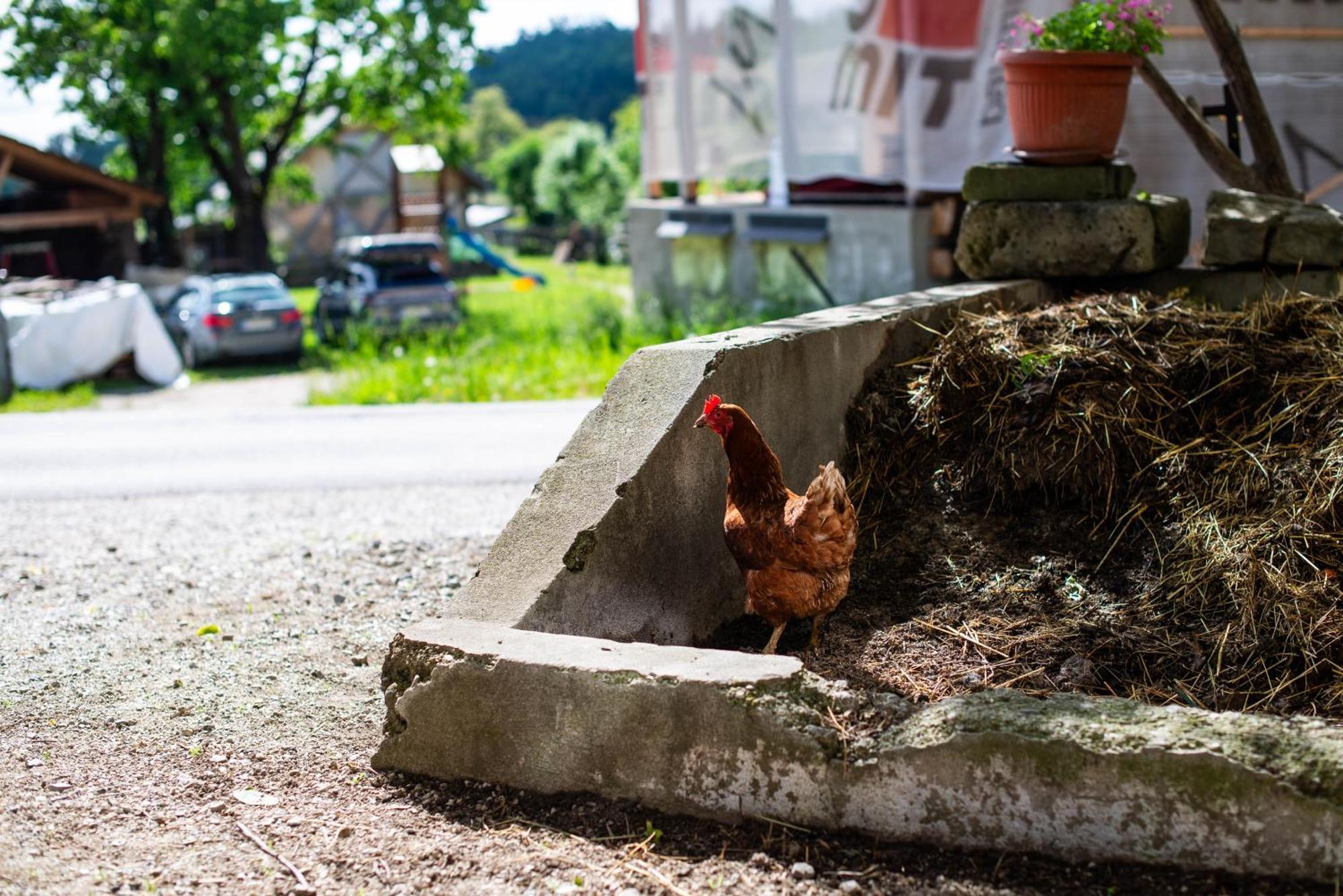 Vila Turisticna Kmetija Grabnar Bled Exteriér fotografie